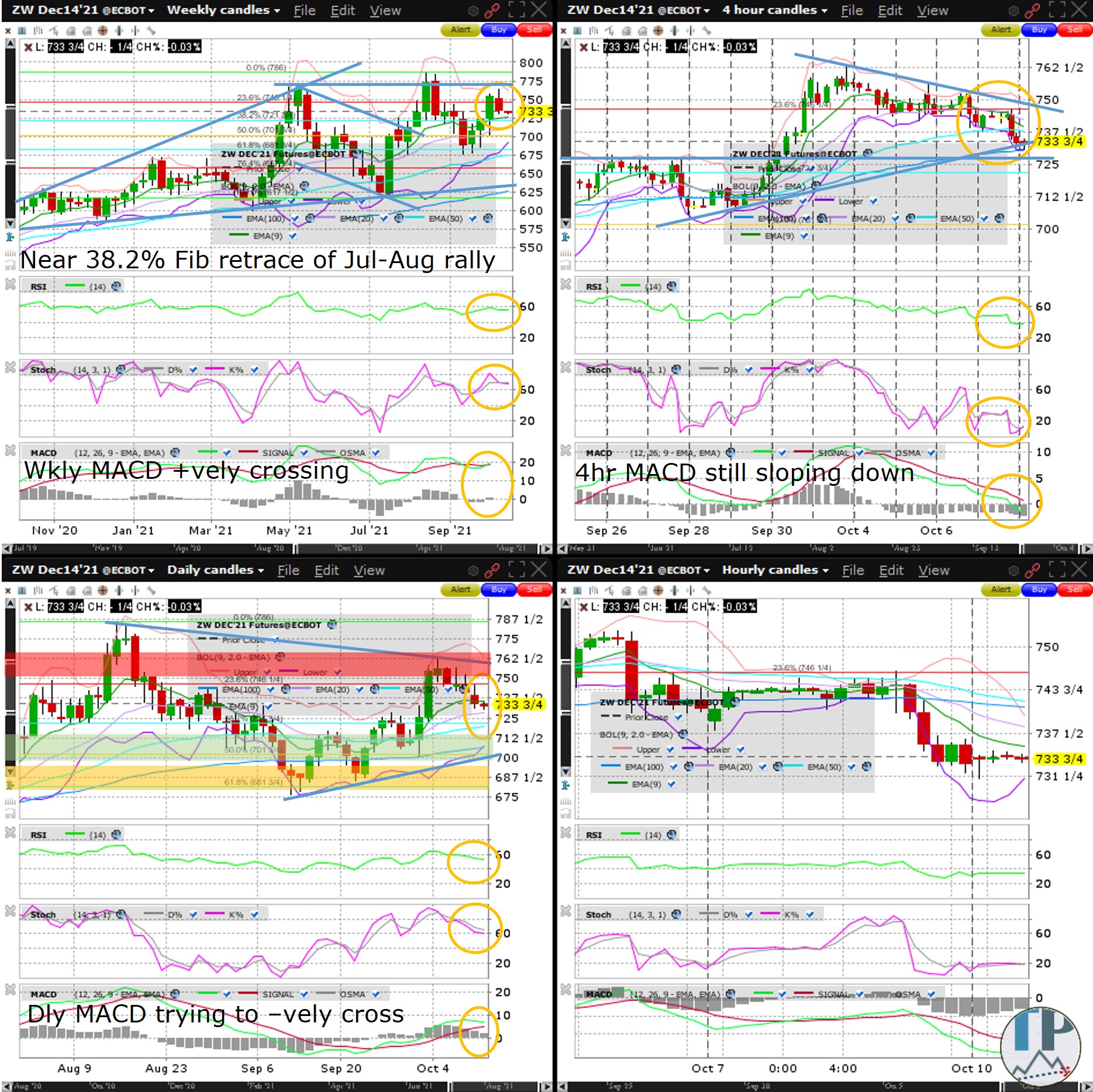 Wheat (ZW) Weekly MACD Positively Crossing | Traders' Insight